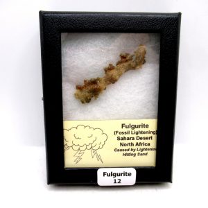 Genuine Fulgurite “Fossil Lightening” from Sahara Desert N. Africa for Sale #12