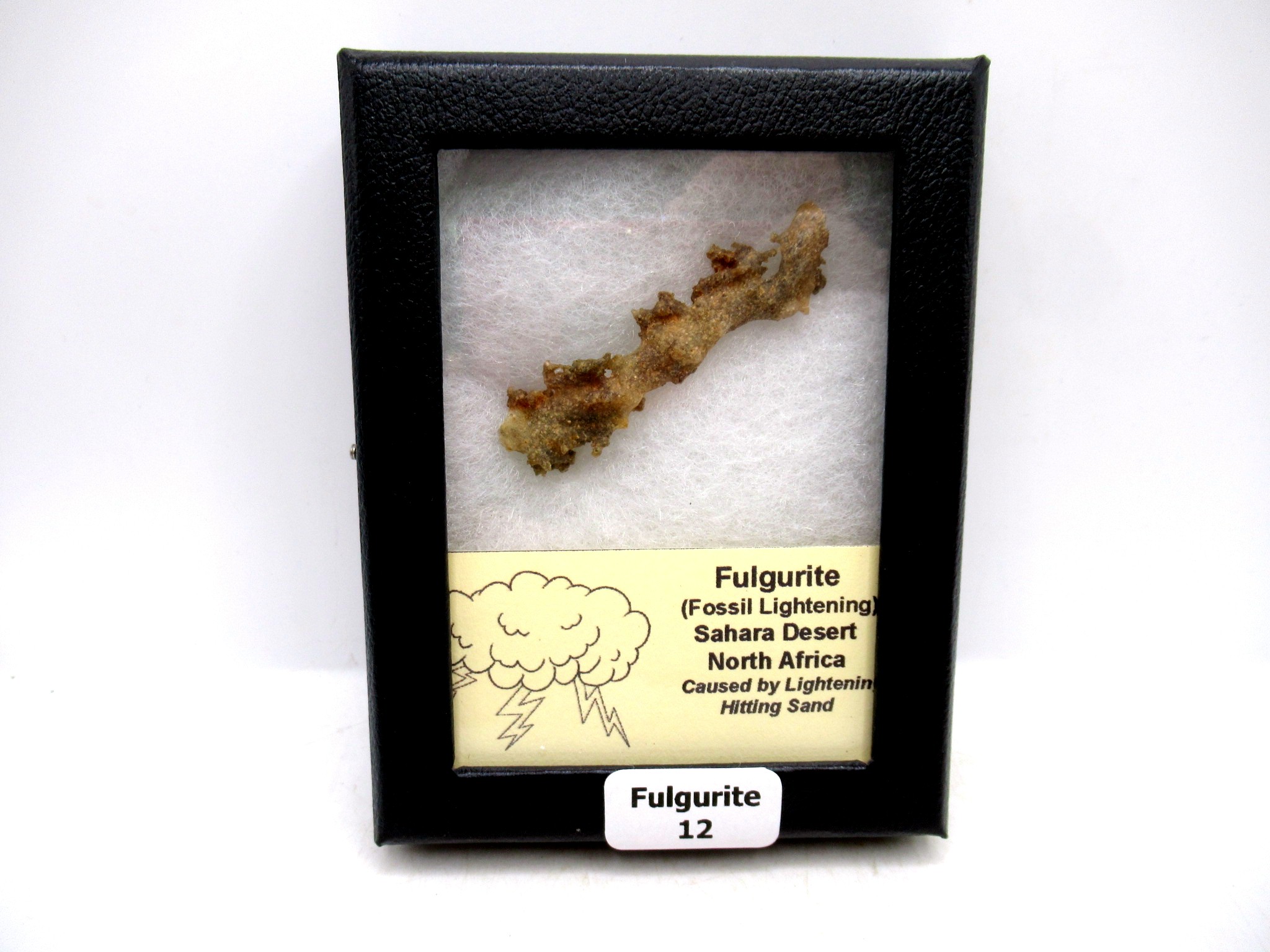 Morocco North Africa Fulgurite - Fossil Lightning 12 | Fossils for Sale Genuine Fulgurite “Fossil Lightening” from Sahara Desert N. Africa for Sale #12