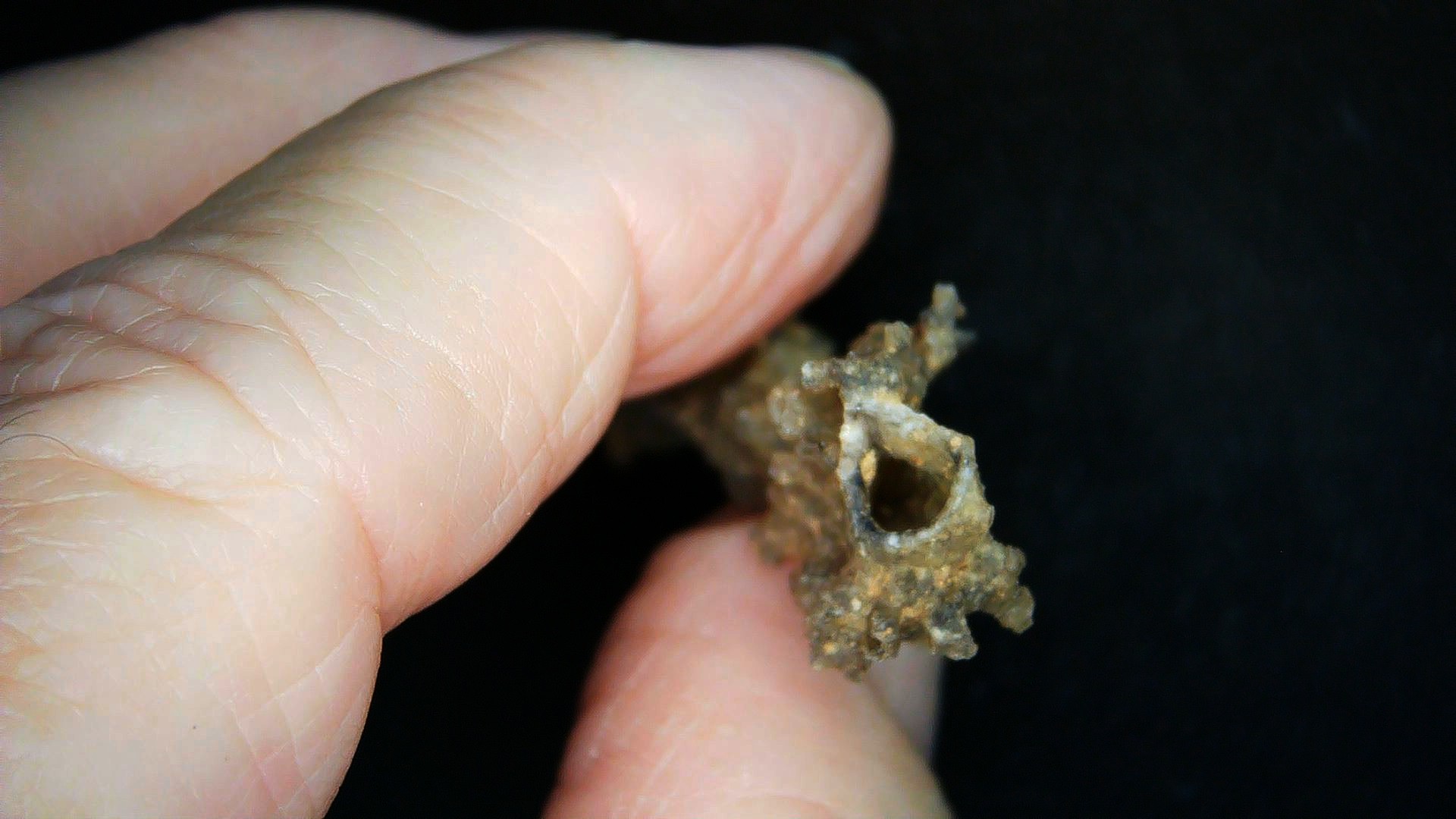 Morocco North Africa Fulgurite - Fossil Lightning 12c | Fossils for Sale Genuine Fulgurite “Fossil Lightening” from Sahara Desert N. Africa for Sale #12c