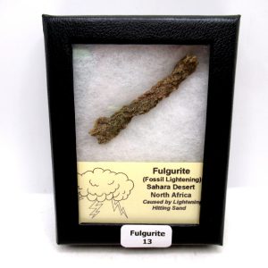 Genuine Fulgurite “Fossil Lightening” from Sahara Desert N. Africa for Sale #13