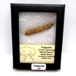 Genuine Fulgurite “Fossil Lightening” from Sahara Desert N. Africa for Sale #14