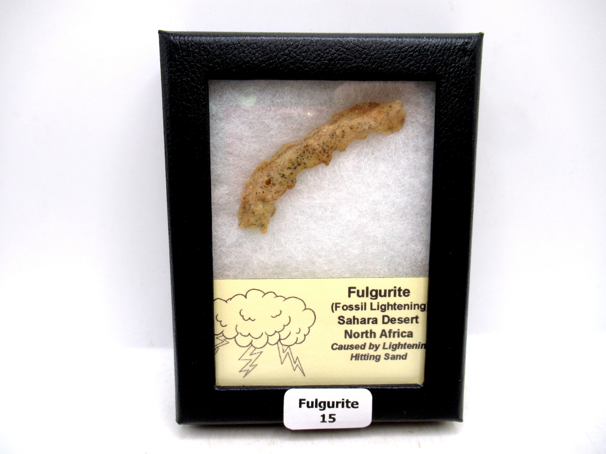 Morocco North Africa Fulgurite - Fossil Lightning 15 | Fossils for Sale Genuine Fulgurite “Fossil Lightening” from Sahara Desert N. Africa for Sale #15