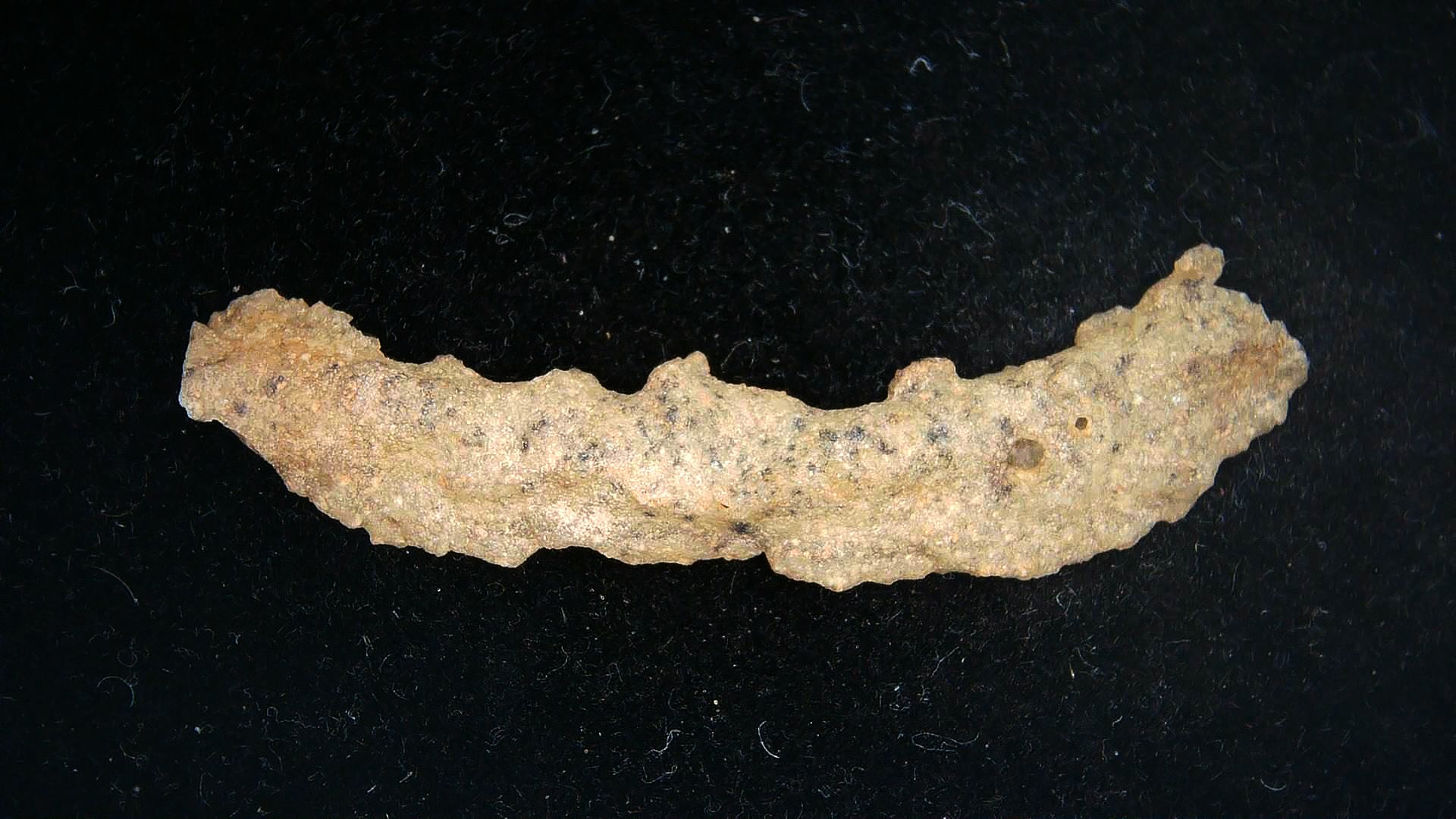 Morocco North Africa Fulgurite - Fossil Lightning 15a | Fossils for Sale Genuine Fulgurite “Fossil Lightening” from Sahara Desert N. Africa for Sale #15a