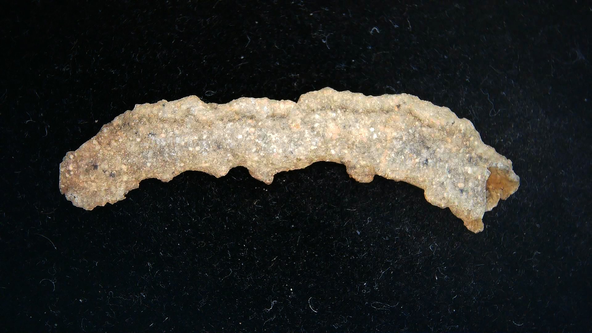 Morocco North Africa Fulgurite - Fossil Lightning 15b | Fossils for Sale Genuine Fulgurite “Fossil Lightening” from Sahara Desert N. Africa for Sale #15b