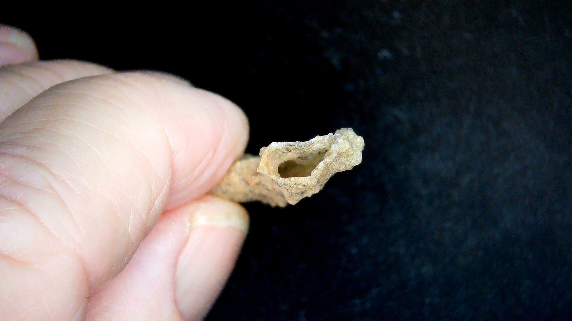 Morocco North Africa Fulgurite - Fossil Lightning 15c | Fossils for Sale Genuine Fulgurite “Fossil Lightening” from Sahara Desert N. Africa for Sale #15c