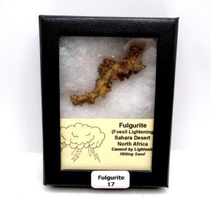 Genuine Fulgurite “Fossil Lightening” from Sahara Desert N. Africa for Sale #17