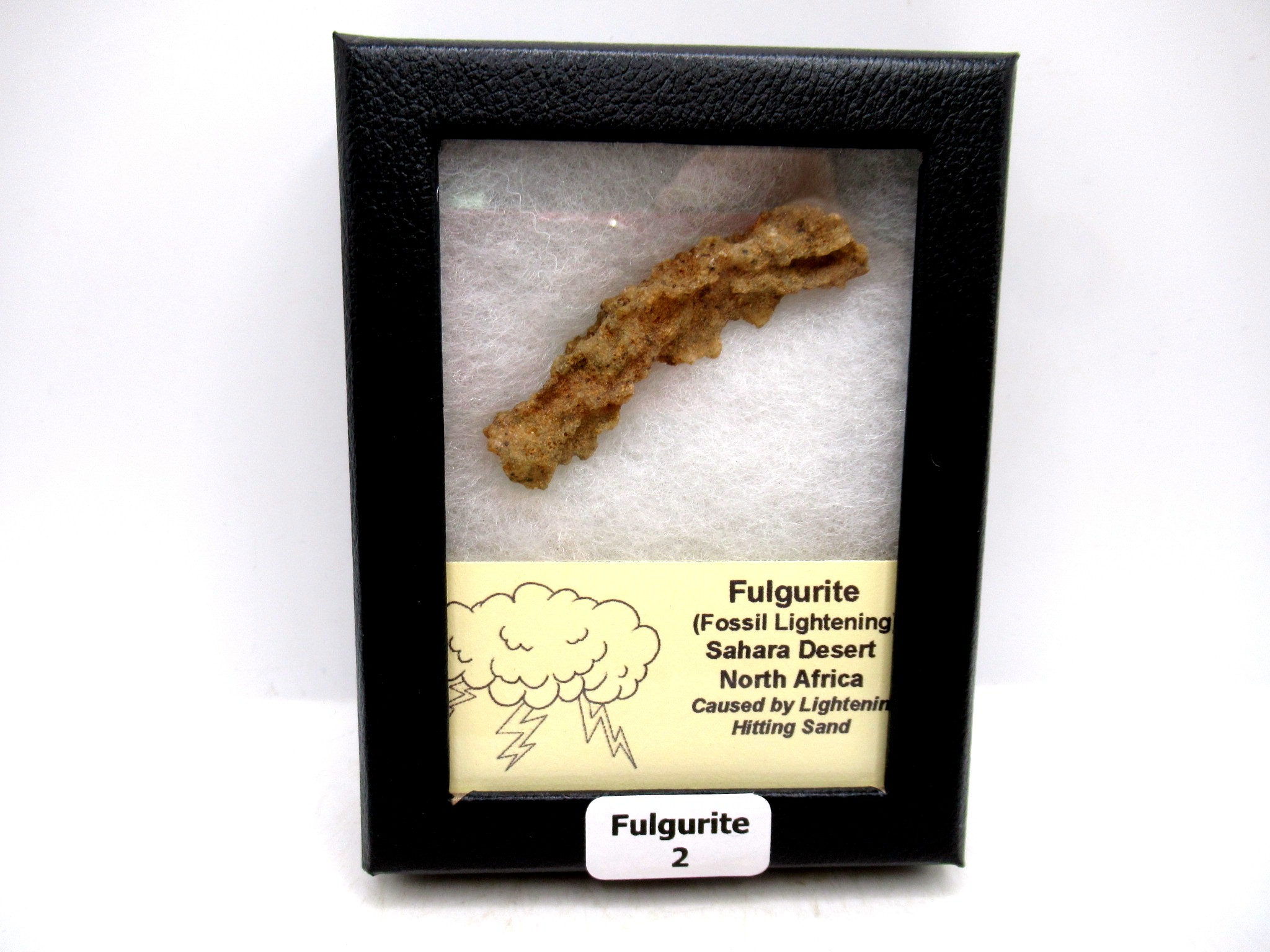Morocco North Africa Fulgurite - Fossil Lightning 2 | Fossils for Sale Genuine Fulgurite “Fossil Lightening” from Sahara Desert N. Africa for Sale #2