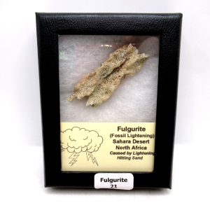 Genuine Fulgurite “Fossil Lightening” from Sahara Desert N. Africa for Sale #21