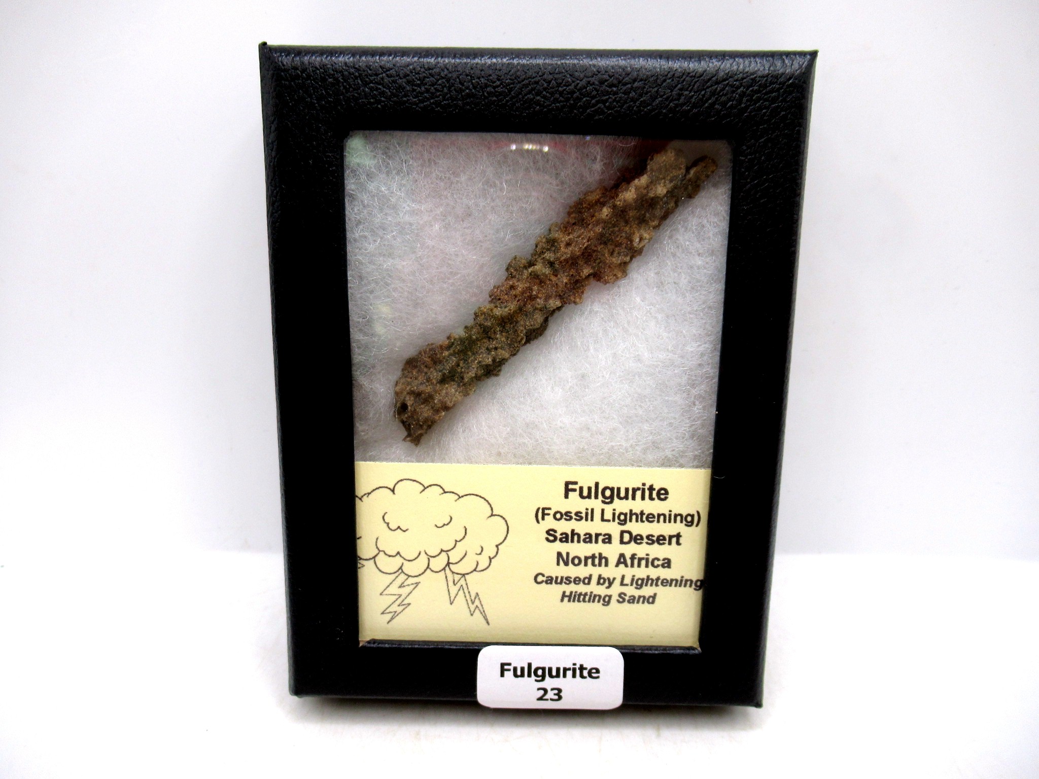 Morocco North Africa Fulgurite - Fossil Lightning 23 | Fossils for Sale Genuine Fulgurite “Fossil Lightening” from Sahara Desert N. Africa for Sale #23