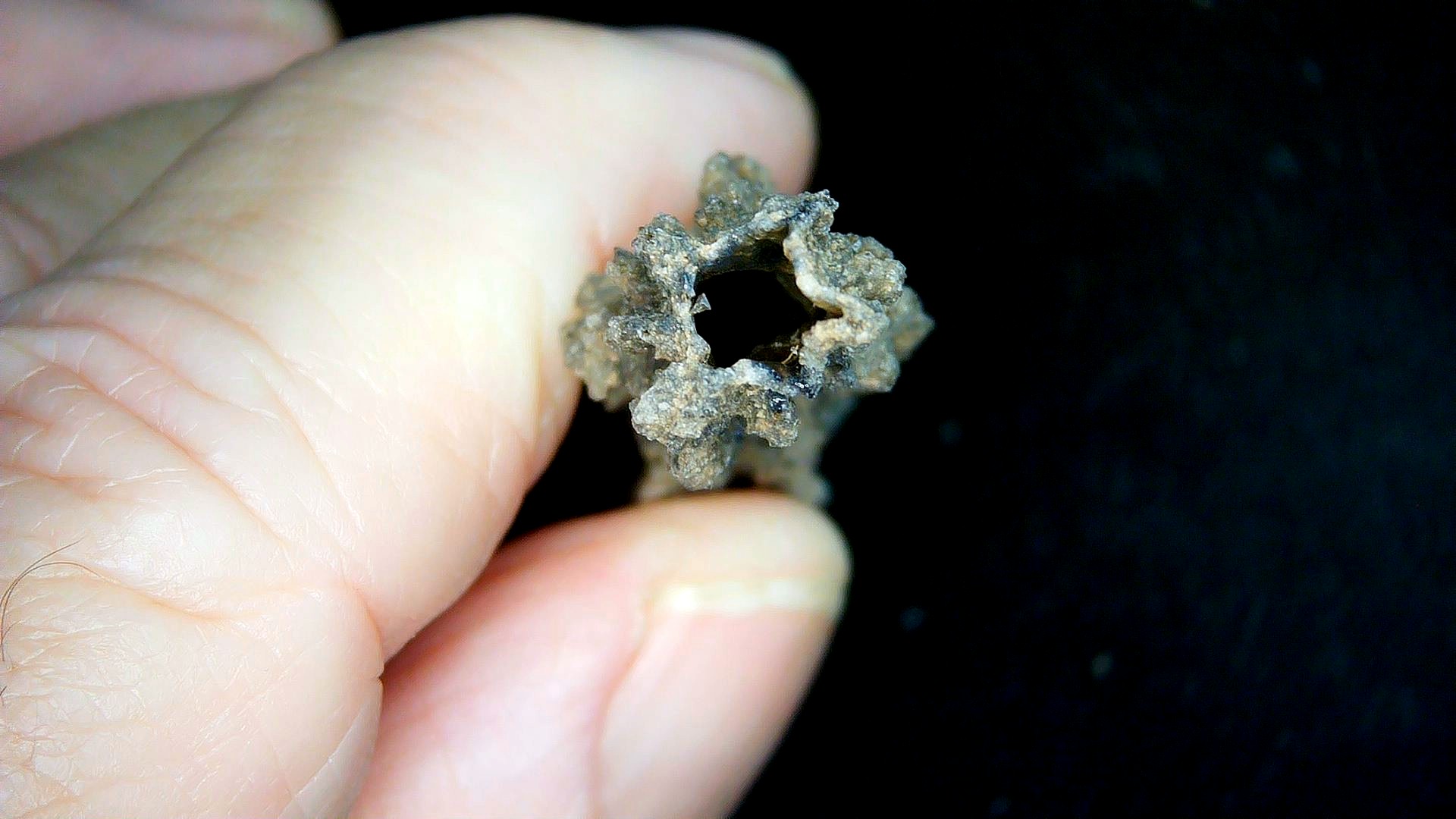 Morocco North Africa Fulgurite - Fossil Lightning 23c | Fossils for Sale Genuine Fulgurite “Fossil Lightening” from Sahara Desert N. Africa for Sale #23c