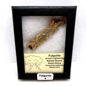 Genuine Fulgurite “Fossil Lightening” from Sahara Desert N. Africa for Sale #4