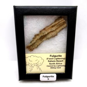 Genuine Fulgurite “Fossil Lightening” from Sahara Desert N. Africa for Sale #5
