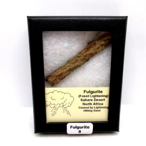 Genuine Fulgurite “Fossil Lightening” from Sahara Desert N. Africa for Sale #8
