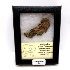 Genuine Fulgurite “Fossil Lightening” from Sahara Desert N. Africa for Sale #9