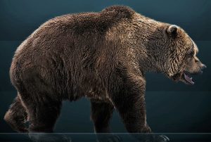 Romanian Cave Bear