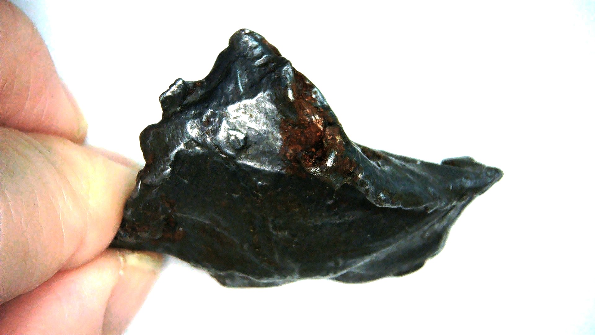 arizona canyon diabloe iron meteorite 1b | Fossils for Sale Genuine Canyon Diablo Iron Meteorite For Sale From Arizona #1b