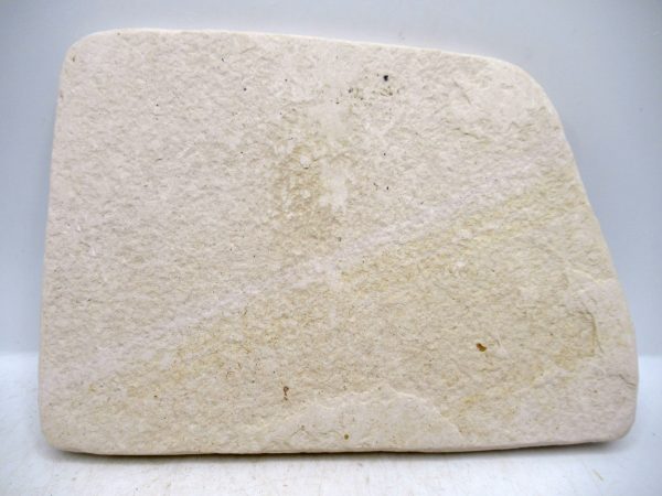 Lebanon Cretaceous Age Fish Fossil Plate 110c | Fossils for Sale Genuine Cretaceous Age Fish Fossil Plate for Sale from Lebanon #110c
