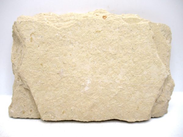 Lebanon Cretaceous Age Fish Fossil Plate 116c | Fossils for Sale Genuine Cretaceous Age Fish Fossil Plate for Sale from Lebanon #116c