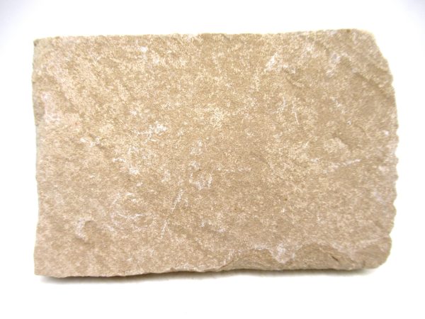 Lebanon Cretaceous Age Fish Fossil Plate 118b | Fossils for Sale Genuine Cretaceous Age Fish Fossil Plate for Sale from Lebanon #118b