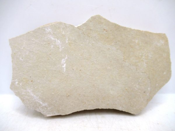 Lebanon Cretaceous Age Fish Fossil Plate 121b | Fossils for Sale Genuine Cretaceous Age Fish Fossil Plate for Sale from Lebanon #121b