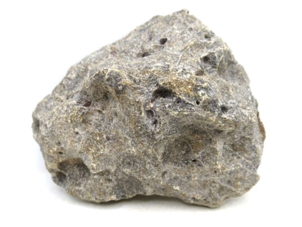 Morocco Carboniferous Actinocyathus Rugose Coral 28a | Fossils for Sale General Carboniferous Age Actinocyathus Rugose Fossils from Morocco for Sale #28a