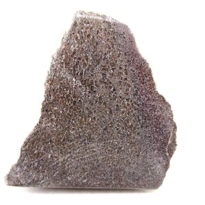 Morocco Cretaceous Polished Dinosaur Bone Slice 108 | Fossils for Sale Genuine Cretaceous Age Polished Dinosaur Bone Slice for Sale from Morocco #108