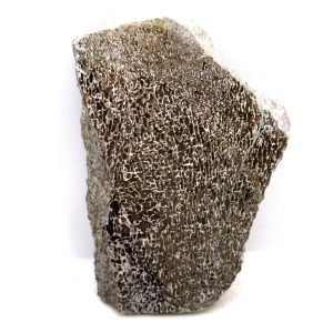 Morocco Cretaceous Polished Dinosaur Bone Slice 109 | Fossils for Sale Genuine Cretaceous Age Polished Dinosaur Bone Slice for Sale from Morocco #109