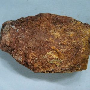New Mexico Triassic Age Dinosaur Coprolite 40 | Fossils for Sale Genuine Triassic Age Dinosaur Coprolite Fossil for Sale from New Mexico #40