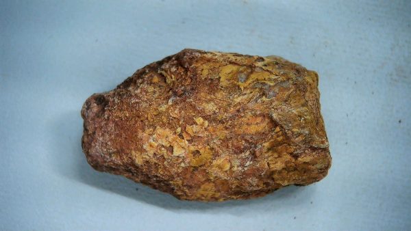 New Mexico Triassic Age Dinosaur Coprolite 40a | Fossils for Sale Genuine Triassic Age Dinosaur Coprolite Fossil for Sale from New Mexico #40a