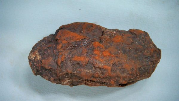 New Mexico Triassic Age Dinosaur Coprolite 43 | Fossils for Sale Genuine Triassic Age Dinosaur Coprolite Fossil for Sale from New Mexico #43