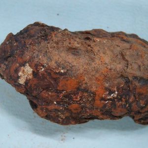 New Mexico Triassic Age Dinosaur Coprolite 43a | Fossils for Sale Genuine Triassic Age Dinosaur Coprolite Fossil for Sale from New Mexico #43a