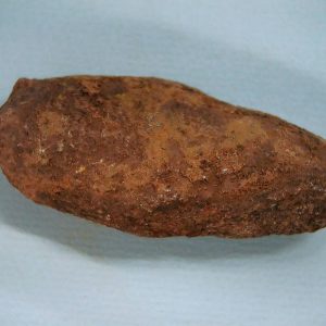 New Mexico Triassic Age Dinosaur Coprolite 45 | Fossils for Sale Genuine Triassic Age Dinosaur Coprolite Fossil for Sale from New Mexico #45