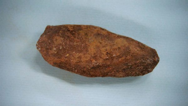 New Mexico Triassic Age Dinosaur Coprolite 45 | Fossils for Sale Genuine Triassic Age Dinosaur Coprolite Fossil for Sale from New Mexico #45