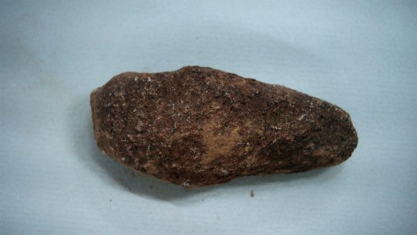 New Mexico Triassic Age Dinosaur Coprolite 45a | Fossils for Sale Genuine Triassic Age Dinosaur Coprolite Fossil for Sale from New Mexico #45a