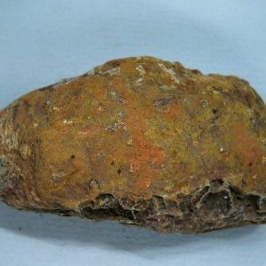 New Mexico Triassic Age Dinosaur Coprolite 46 | Fossils for Sale Genuine Triassic Age Dinosaur Coprolite Fossil for Sale from New Mexico #46