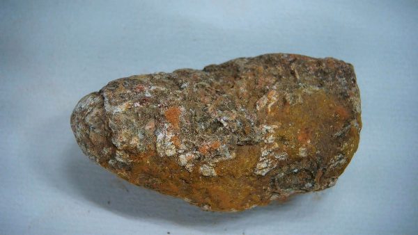 New Mexico Triassic Age Dinosaur Coprolite 46a | Fossils for Sale Genuine Triassic Age Dinosaur Coprolite Fossil for Sale from New Mexico #46a
