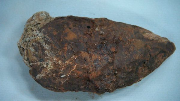 New Mexico Triassic Age Dinosaur Coprolite 47a | Fossils for Sale Genuine Triassic Age Dinosaur Coprolite Fossil for Sale from New Mexico #47a