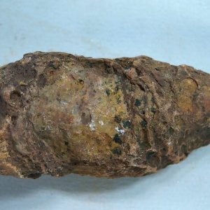 New Mexico Triassic Age Dinosaur Coprolite 48 | Fossils for Sale Genuine Triassic Age Dinosaur Coprolite Fossil for Sale from New Mexico #48