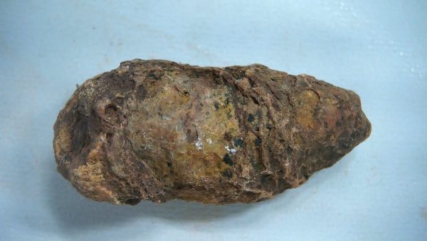 New Mexico Triassic Age Dinosaur Coprolite 48 | Fossils for Sale Genuine Triassic Age Dinosaur Coprolite Fossil for Sale from New Mexico #48
