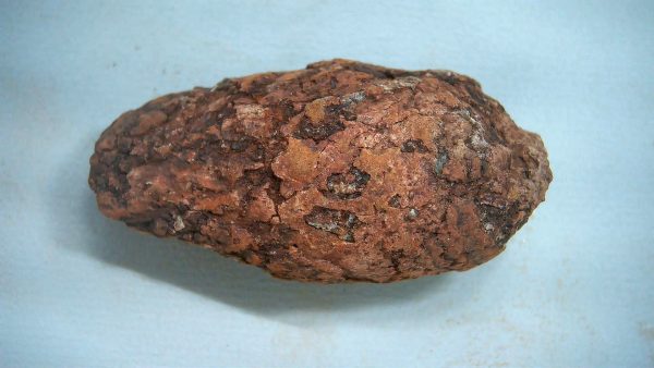 New Mexico Triassic Age Dinosaur Coprolite 49 | Fossils for Sale Genuine Triassic Age Dinosaur Coprolite Fossil for Sale from New Mexico #49