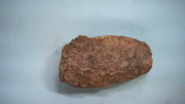 New Mexico Triassic Age Dinosaur Coprolite 50a | Fossils for Sale Genuine Triassic Age Dinosaur Coprolite Fossil for Sale from New Mexico #50a