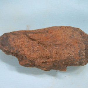 New Mexico Triassic Age Dinosaur Coprolite 51 | Fossils for Sale Genuine Triassic Age Dinosaur Coprolite Fossil for Sale from New Mexico #51