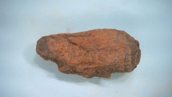 New Mexico Triassic Age Dinosaur Coprolite 51 | Fossils for Sale Genuine Triassic Age Dinosaur Coprolite Fossil for Sale from New Mexico #51