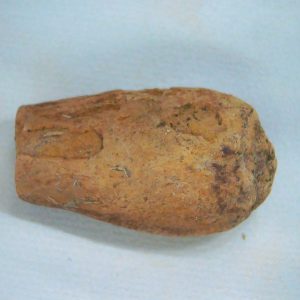 New Mexico Triassic Age Dinosaur Coprolite 53 | Fossils for Sale Genuine Triassic Age Dinosaur Coprolite Fossil for Sale from New Mexico #53