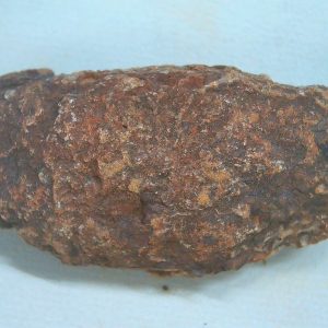 New Mexico Triassic Age Dinosaur Coprolite 54 | Fossils for Sale Genuine Triassic Age Dinosaur Coprolite Fossil for Sale from New Mexico #54