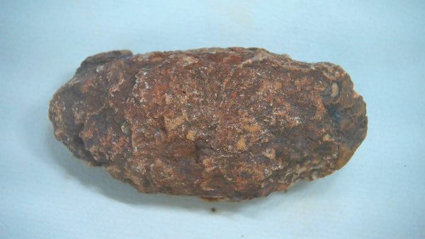 New Mexico Triassic Age Dinosaur Coprolite 54 | Fossils for Sale Genuine Triassic Age Dinosaur Coprolite Fossil for Sale from New Mexico #54