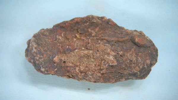 New Mexico Triassic Age Dinosaur Coprolite 54a | Fossils for Sale Genuine Triassic Age Dinosaur Coprolite Fossil for Sale from New Mexico #54a