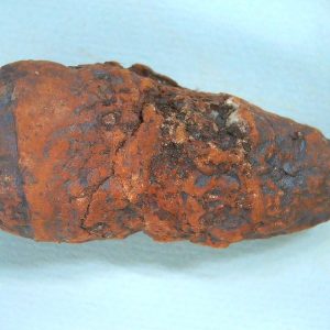 New Mexico Triassic Age Dinosaur Coprolite 56 | Fossils for Sale Genuine Triassic Age Dinosaur Coprolite Fossil for Sale from New Mexico #56