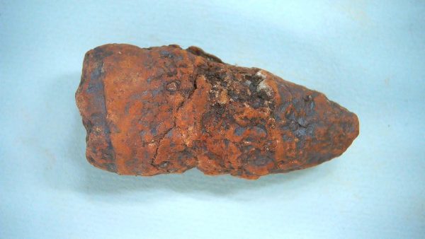 New Mexico Triassic Age Dinosaur Coprolite 56 | Fossils for Sale Genuine Triassic Age Dinosaur Coprolite Fossil for Sale from New Mexico #56