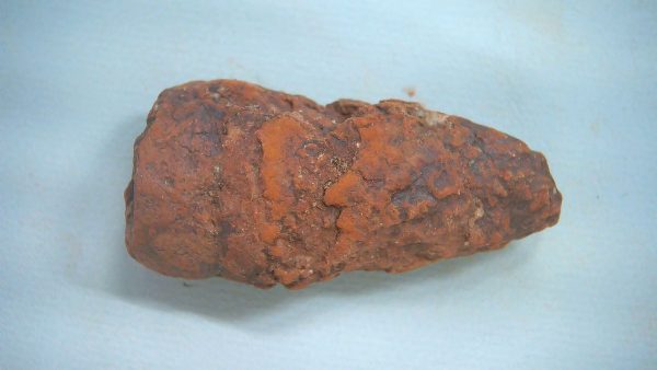 New Mexico Triassic Age Dinosaur Coprolite 56a | Fossils for Sale Genuine Triassic Age Dinosaur Coprolite Fossil for Sale from New Mexico #56a
